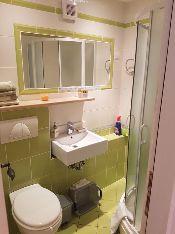 Apartments Mirela Gradac  Zewnętrze zdjęcie